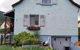 Gîte les chiwawas d'Alsace